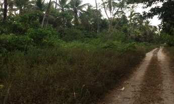 Imagem 7: Igarassu - Terreno Padrão - <br> Nova Cruz