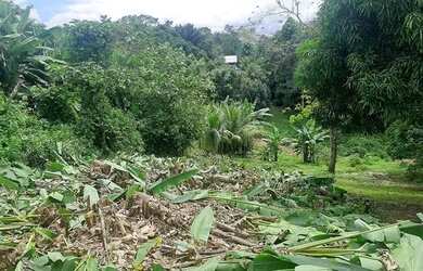 Imagem 6: Terreno em Figueiredo