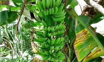 Imagem 6: Vendo ou troco por casa em Aracaju