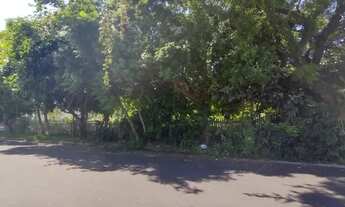 Imagem: SAPUCAIA DO SUL - Terreno Padrão - Centro