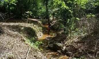 Imagem 5: SITIO 3 HECTARES | Á VENDA