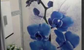 Imagem: Brotas - Salvador - Bahia