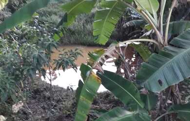 Imagem 5: Sitio da "Terapia&quot