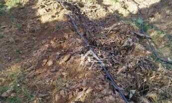 Imagem 3: Terreno à venda, 2300 m² por R$ 900.000 - Chácara Cruzeiro do Sul - Sumaré/SP