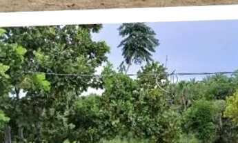 Imagem: Chácara 8 hectares