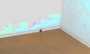 Imagem 6: PIEDADE | Rua Torres de Oliveira - Apartamento 2 Quartos - 43m³