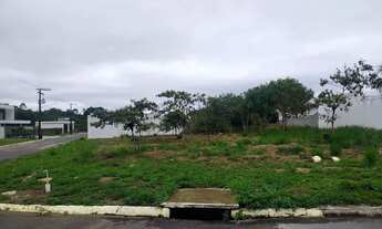 Imagem 3: Lote excelente Marina Rio Bello