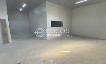 Imagem 7: Imóvel Comercial para aluguel, Presidente Roosevelt - Uberlândia/MG