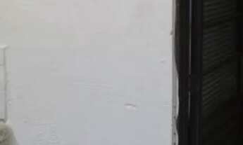 Imagem 4: Apartamento Padrão em São Carlos