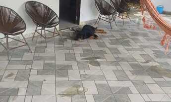 Imagem 5: Vende-se Casa com 1 dormitório