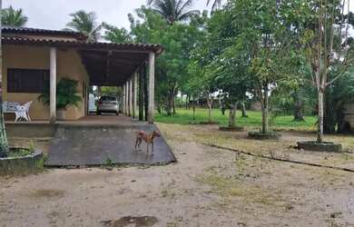 Imagem 7: Vendo Linda Chacara em Limoeiro de Anadia! Tratar com Jackson