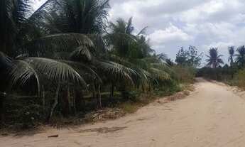 Imagem 2: Terreno bem localizado em Paraipaba