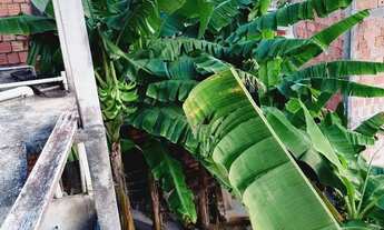 Imagem 7: Vendo casa parque São Pedro Tarumã