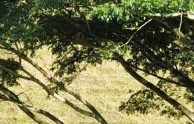 Imagem 3: Terreno grande com vista das montanhas (aceito trocas