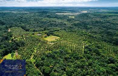 Imagem 4: Belíssima Fazenda com 685 mil m² à venda no litoral proximo de Sauipe com Mata Preservada