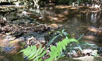 Imagem 4: Fazenda a venda, em Varjão - Goiás!!!