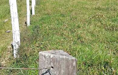 Imagem 5: Chácara 2 he em Alexania GO