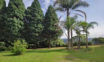 Imagem: Sítio / Chácara para Venda em Nova Petrópolis