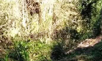 Imagem 7: Lote em condomínio em Alameda das Glicínias - Pirucaia - Mairiporã/SP