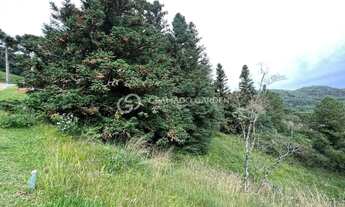 Imagem 6: TERRENO COM VISTA PERENE PARA O VALE