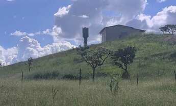 Imagem 7: Vendo Chácara de 2.500 Mil metros na Região da Fazenda Velha