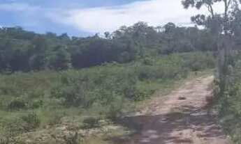 Imagem 6: Fazenda 15 alqueires município de araguapaz