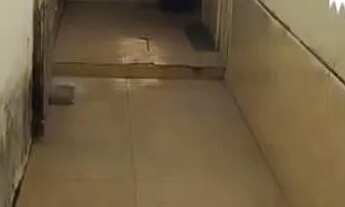 Imagem 5: ALUGO CASA ESTILO KITNET NO SANTO ANTÔNIO, AMBIENTE FAMÍLIAR!