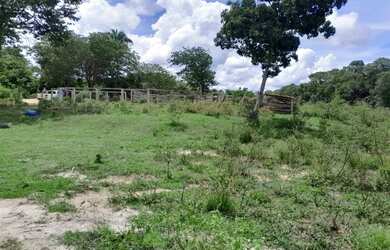 Imagem 3: Chacara Em Cocalinho-MT / Rio Araguaia / 100mt da Cidade
