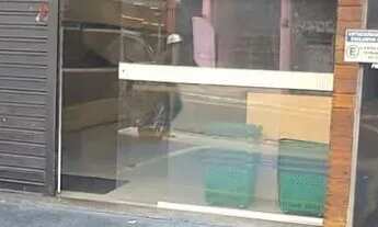 Imagem: Hortifruti com lindas e novas instalações