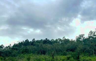 Imagem 7: Excelente Terreno em São Roque: Potencial para Chácara ou Empreendimento Turístico!Rota do