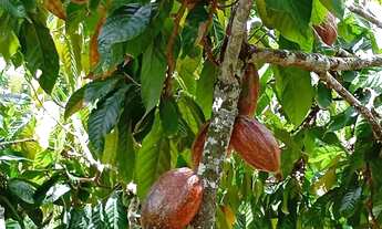 Imagem 3: Sítio Elísio Medrado-BA, CASA REFORMADA