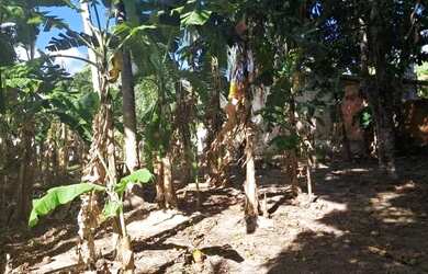 Imagem: Terreno em aguilhadas Pirambu