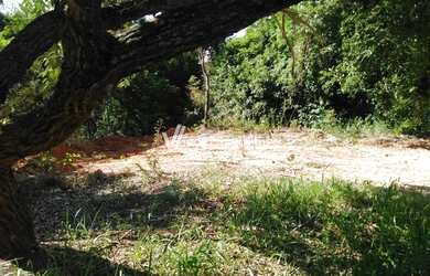 Imagem 6: Terreno - Sousas - Campinas
