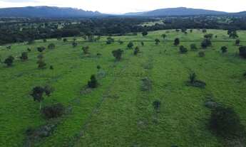 Imagem 5: Fazenda em Cáceres na Beira do Asfalto 113 hectares