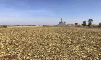 Imagem 2: 4 alqueires em Ibiporã na PR 090 com 400 m de frente