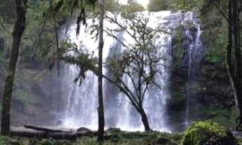 Imagem 5: Sitio Fazenda / sítio com venda por R$270.000