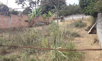 Imagem 5: Lote 17,00 Mts frente,lado cima da rua,asf.,esg.,água,luz, B.Jd.Paulista/Paquetá 48.900