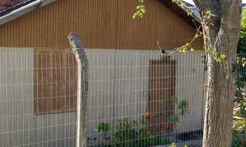 Imagem: CAXIAS DO SUL - Terreno Padrão - FLORESTA