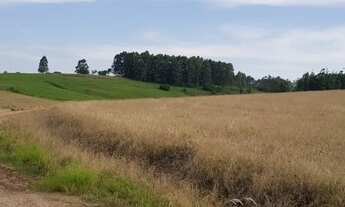 Imagem 2: Fazenda com tripla aptidão de 150Hs Cachoeira Do Sul