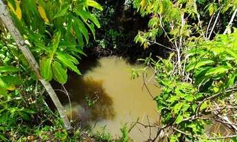 Imagem 4: Vendo Excelente fazenda Em Nazaré das farinha
