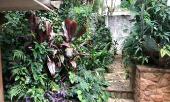 Imagem 3: Casa Térrea, Butantã - São Paulo