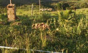 Imagem 4: Sítio, ótimo investimento,20 hectares