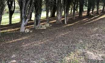 Imagem 7: Compre Seu Terreno e Invista no Seu Sonho em Ibiúna SP