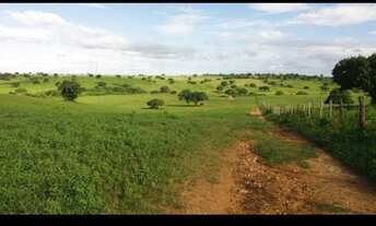 Imagem 2: Linda Fazenda com 190 hc. entre bom jesus e São Pedro do potengi
