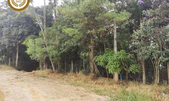 Imagem 5: SAO ROQUE - Terreno residencial - CAMPININHA (CANGUERA