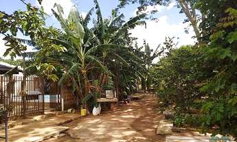 Imagem 3: Mirassol - Fazenda - Córrego do Limão