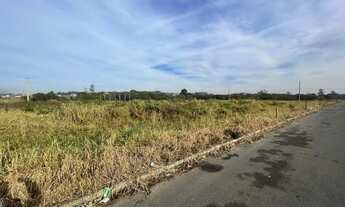 Imagem 2: TERRENO COMERCIAL/INDUSTRIAL BR101 LOCALIZADO NA QUARTA LINHA