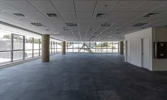 Imagem 7: Sala - Cambuí - Campinas