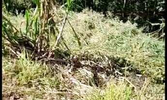 Imagem 5: CHÁCARA EM CONGONHAS MG