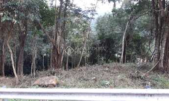 Imagem 5: GAROPABA - Terreno Padrão - Siriu